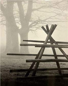 Late Autumn - Janis Talbergs