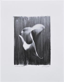 Mysterious Form 3 - Raimo Lielbriedis