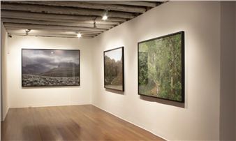 Detener la mirada - Nueveochenta Gallery
