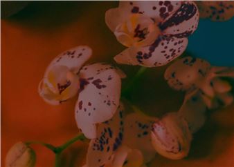 Salamata Mboup: (Un)Biased?! - The Finnish Museum of Photography, The Cable Factory