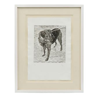 Canino - Enrique Barajas