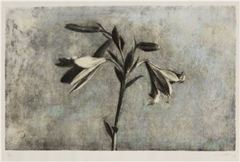 José Manuel Ballester | 60 Artworks at Auction | MutualArt