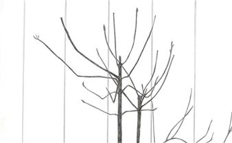 Susi Jirkuff: Tricky Women: Tricky Realities 2025  - Bildraum 07