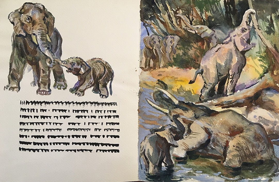 Artwork by Václav Junek, Elephants (ilustrace, Made of watercolor on paper