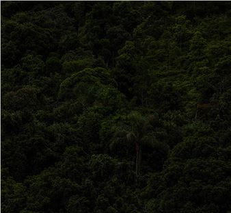 Ding Musa: every gaze is political - Galeria Raquel Arnaud