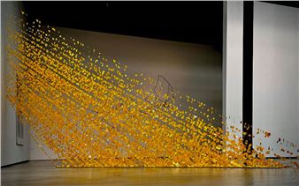 The Bo Bartlett Center Opens an Exhibition of Works of Art Made by Women of the Pacific Northwest