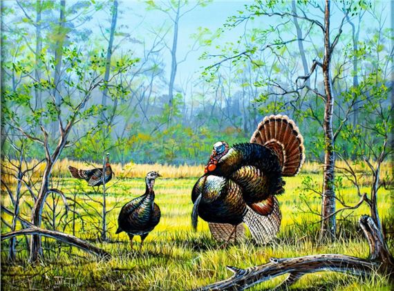 Jake Taylor | Wild Turkeys (2011) | MutualArt