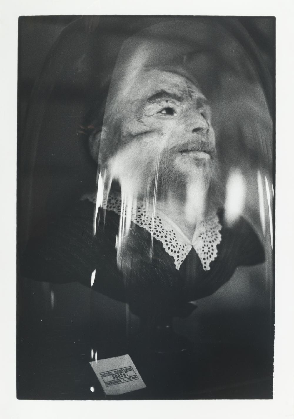 Artwork by Zoe Leonard, Preserved Head of a Bearded Woman (Musée Orfila) (1991, Made of gelatin silver prints