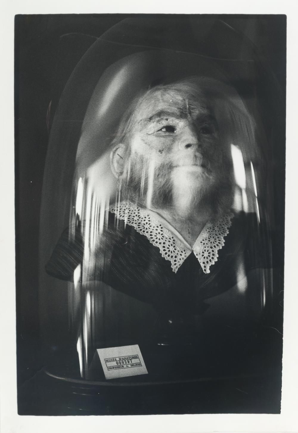 Artwork by Zoe Leonard, Preserved Head of a Bearded Woman (Musée Orfila) (1991, Made of gelatin silver prints