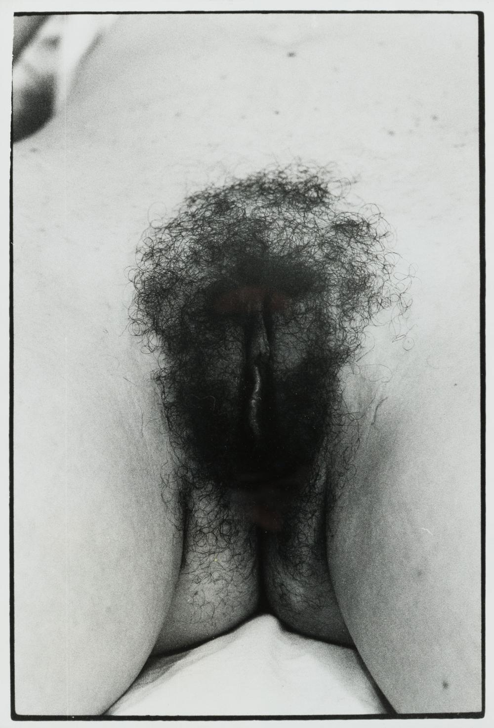 Artwork by Zoe Leonard, Pussy/cunt/snatch/box/beaver/vagina/twat (1993, Made of gelatin silver prints