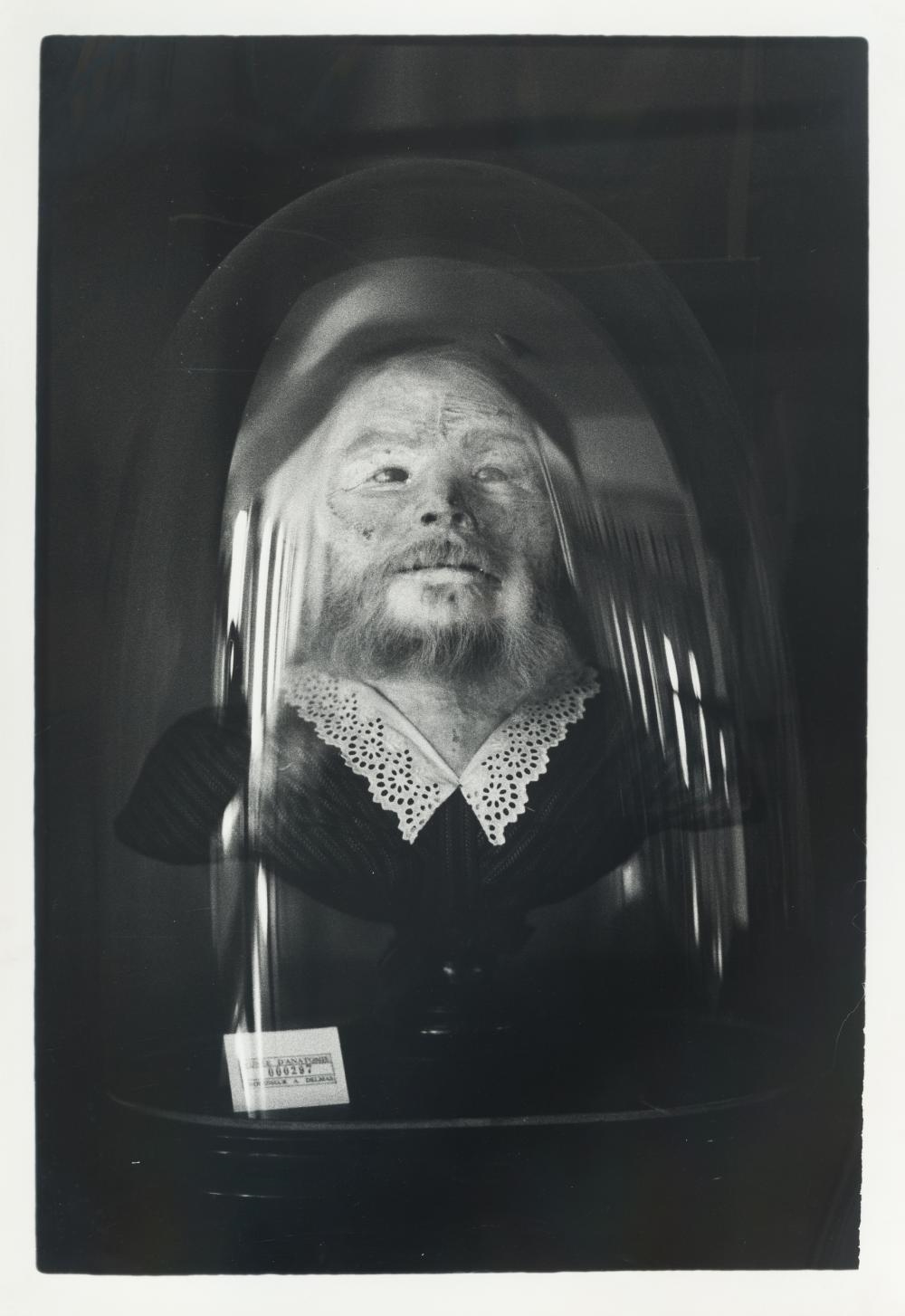 Artwork by Zoe Leonard, Preserved Head of a Bearded Woman (Musée Orfila) (1991, Made of gelatin silver prints