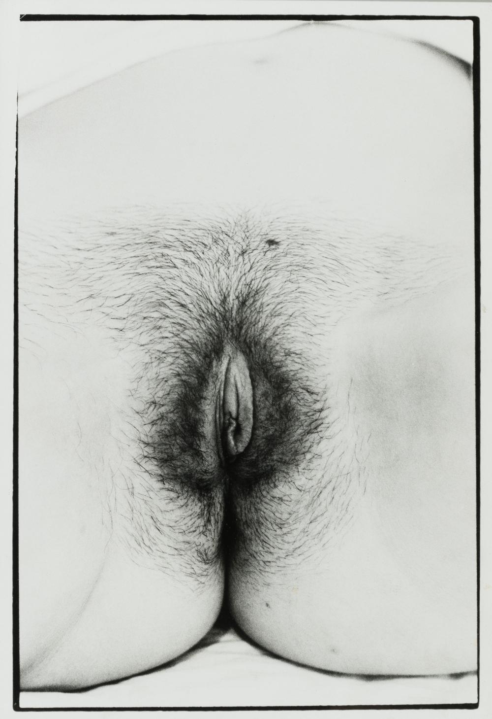 Artwork by Zoe Leonard, Pussy/cunt/snatch/box/beaver/vagina/twat (1993, Made of gelatin silver prints