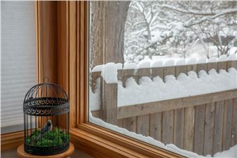 Courtney Rile: Moments in Between - Everson Museum of Art