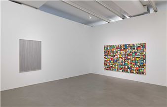Caetano de Almeida - Galeria Luisa Strina