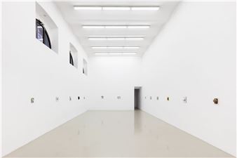 Hélène Fauquet: Species of the Pod - Galerie Meyer Kainer