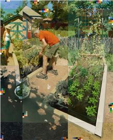 “Yard” by Artist Zoey Frank