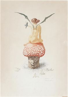 Fluesvamp (Svamp og Djævelinde - Louis Moe