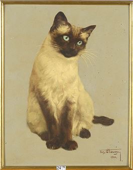 Chat siamois - Fernand Clausse