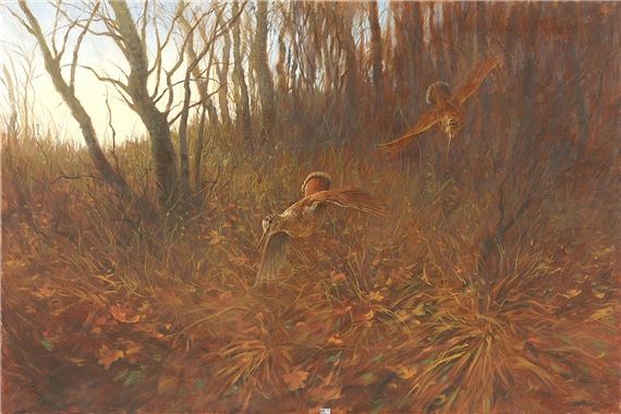 Bécasses en sous-bois by Richárd Kiss