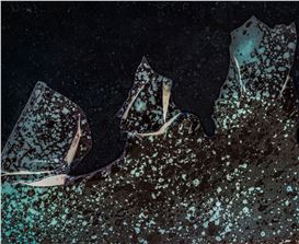 Alnis Stakle (Latvian, 1975)