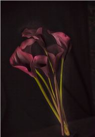 Javier Molina Barrios