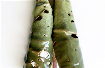 Marianne Nielsen: Løv falder - Galerie Pi