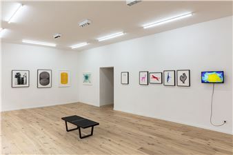 Marcel Schwittlick: Pain && Pleasure - DAM Projects