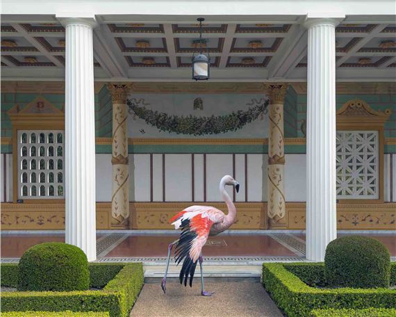 3 Photographic Journeys That Expand Reality - Holden Luntz Gallery