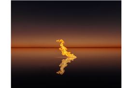 Hamiltons Gallery Showcases Masters of Photography in "From the Roster"