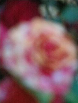 Alessandro Furchino Capria's 'Limehouse Flowers' Land at Saint Laurent Babylone