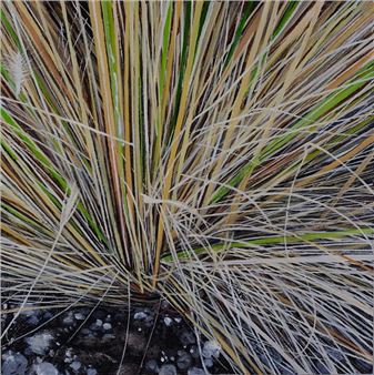 Karen Kitchel: Palindrome - Robischon Gallery