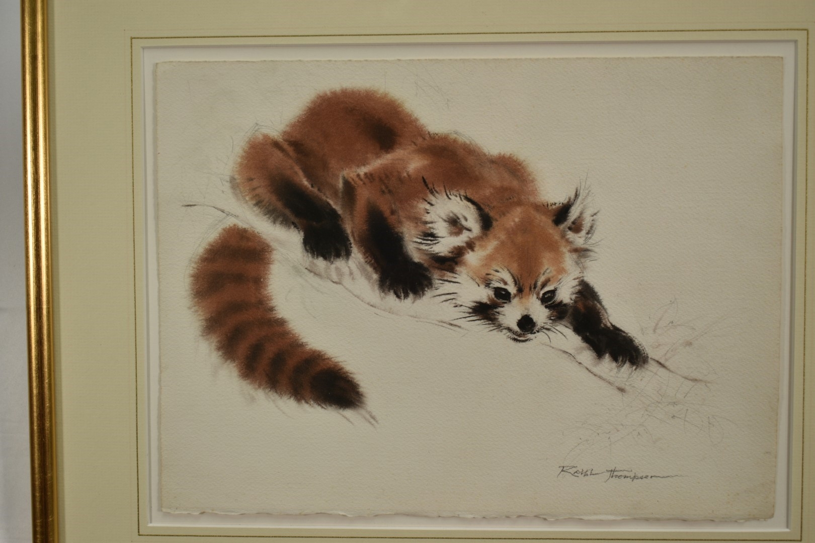 Ralph Thompson | Red Panda | MutualArt
