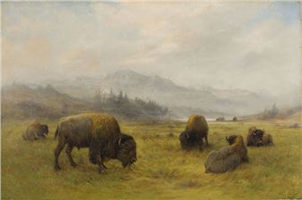 Buffalo Grazing - Frederick Arthur Verner