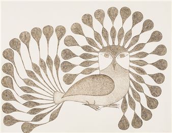 Untitled - Kenojuak Ashevak