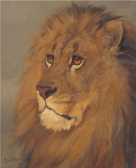 Portrait of Cecil the lion - Charles Edwin M. Baldock
