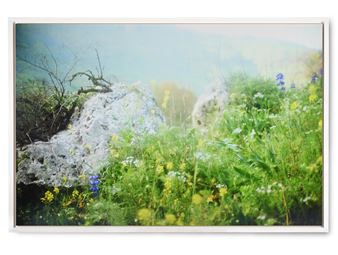 B. 1974), NOCTE DECUS, 2016 - Rafael Y. Herman