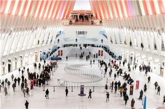 150-Foot-Long Serpentine Sculpture Celebrates the Year of the Snake at World Trade Center Oculus