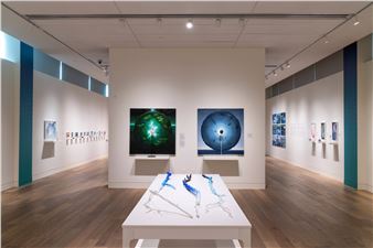 Ash Eliza Williams: Language Without Words at the Denver Botanic Gardens - K Contemporary