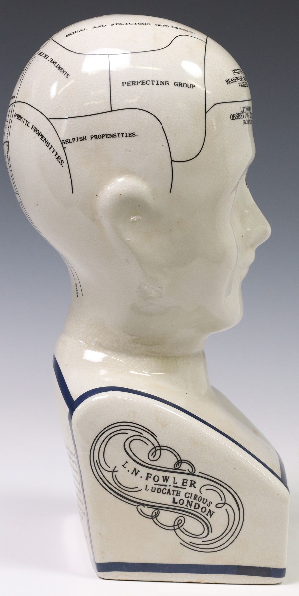 Buste Phrénologie Porcelaine Bleue - L.N. Fowler - Neuf - Clever-Deko