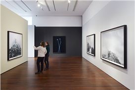 Axel Hütte's "Silent Spaces": Imagined Landscapes in Large-Format Photography at Arp Museum