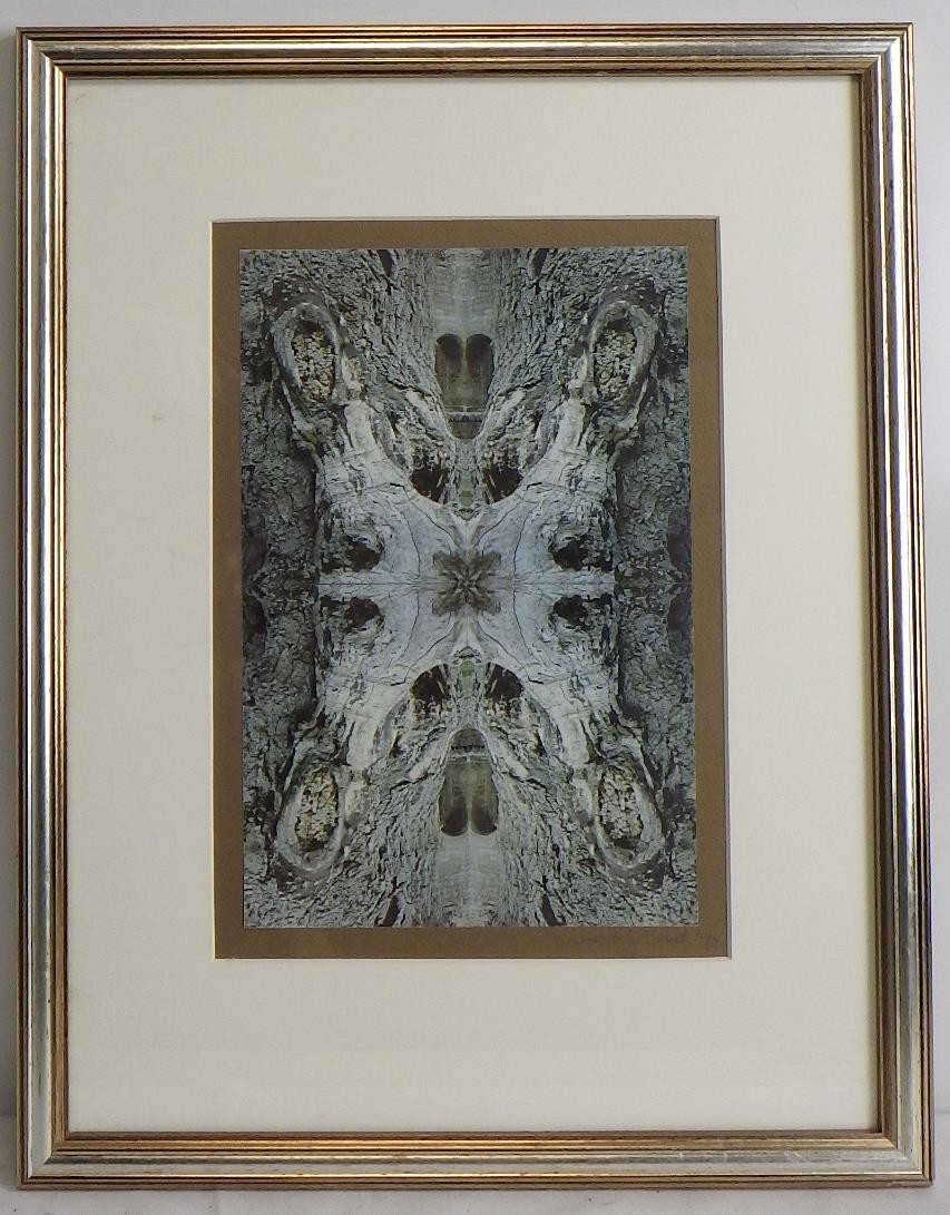 Artwork by Margaret McCreath, Tranquility, Made of photo collage prints