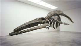 Gabriel Orozco: Politécnico Nacional (National Polytechnic)