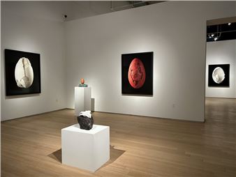 Nathalia Edenmont: Out of Body - Nancy Hoffman Gallery