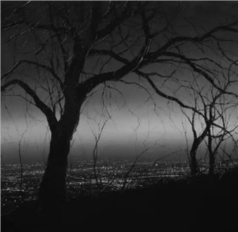 Todd Carpenter: Niches of the mind - LAUNCH LA