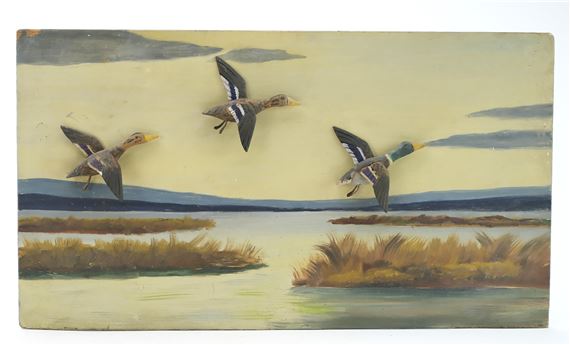 Pair of mallards - John Hodge
