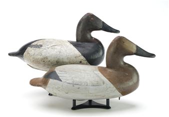 Pair of canvasbacks - William Heverin