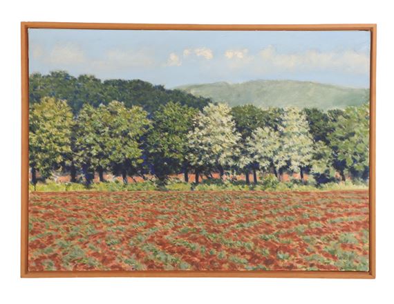 An oil on canvas painting depicting a Spring landscape - Richard Lewis Crozier