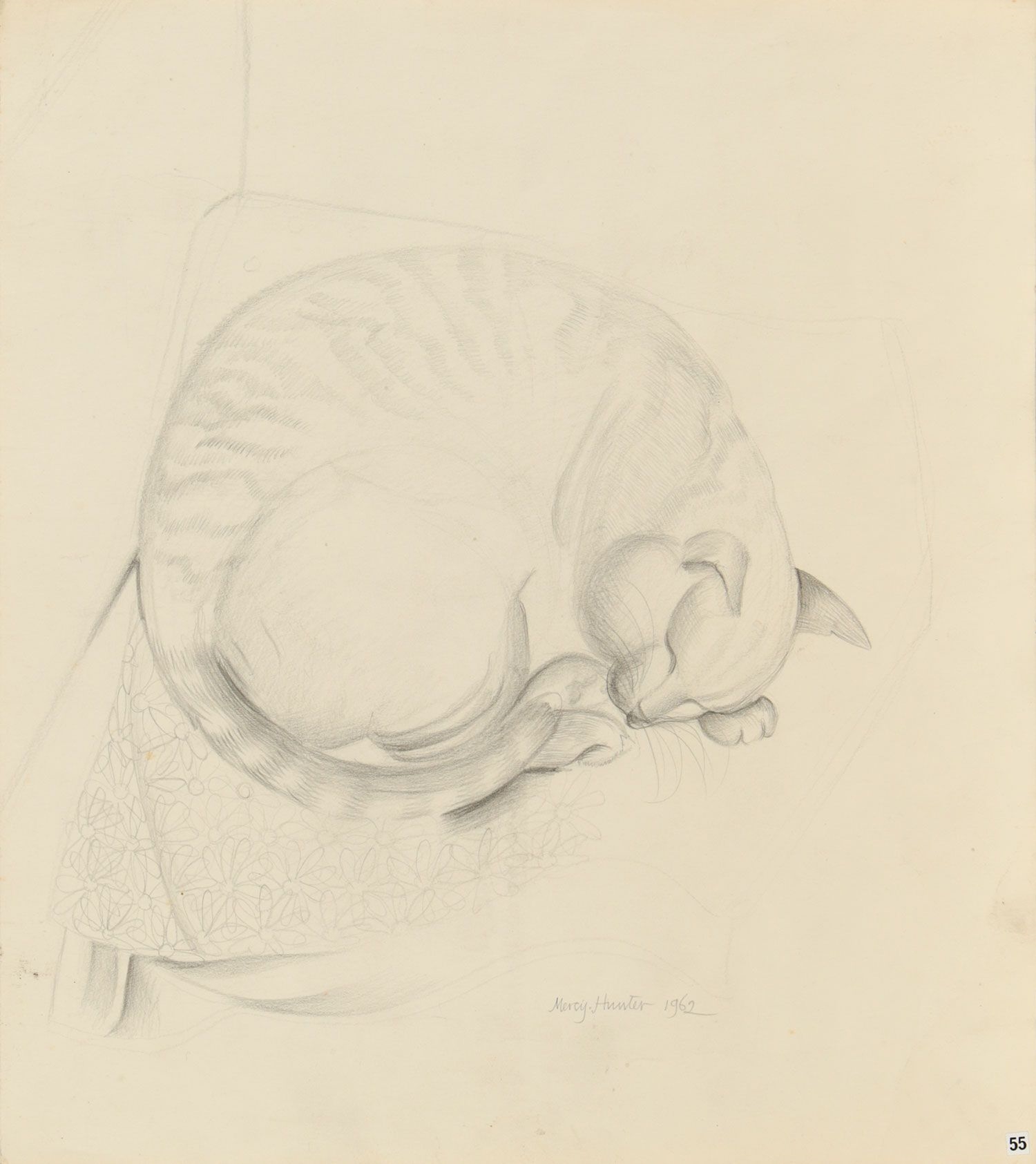 Mercy Hunter | STUDY OF A SLEEPING CAT (1962) | MutualArt
