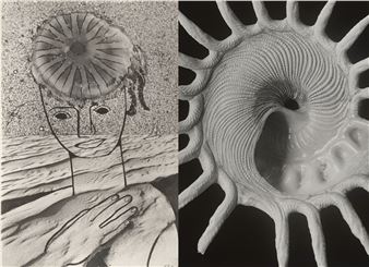 Seescapes: Alfred Ehrhardt & Elfriede Stegemeyer - Museum Ludwig, Cologne