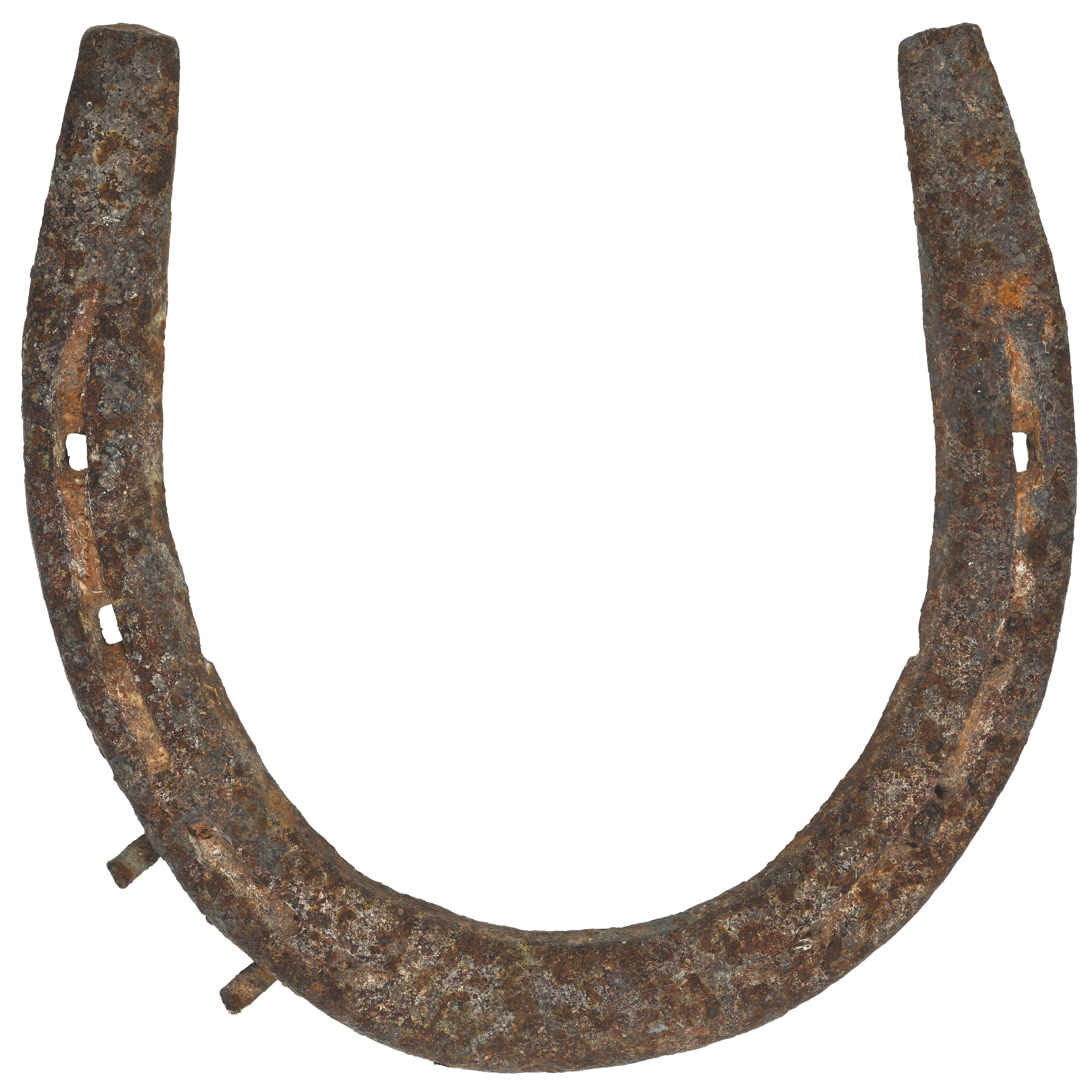 Artwork by Louise Bourgeois, Horseshoe, Made of engraving in red